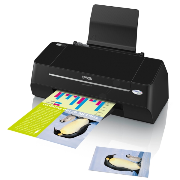 Epson Stylus S21 InkJetdrucker (C11CA43302)