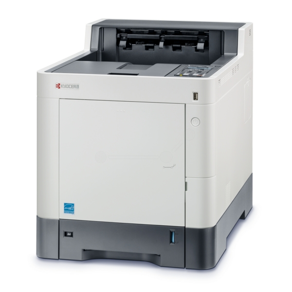 Kyocera ECOSYS P6035cdn Farblaserdrucker (1102NS3NL0)